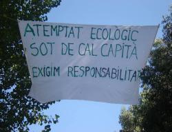 atemptat_ecologic.jpg